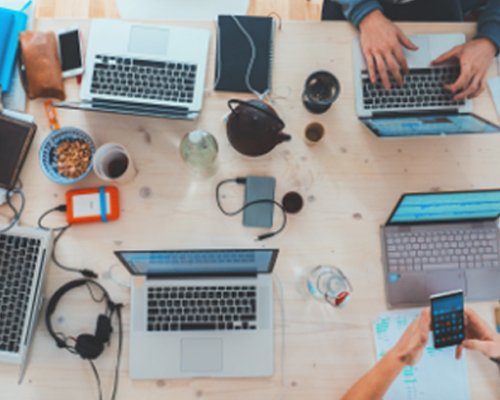 D&B insights | Top 15 Wooden Toy Manufac turers in China for 2024