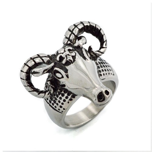 RAM RING (26x29mm) 81-1021