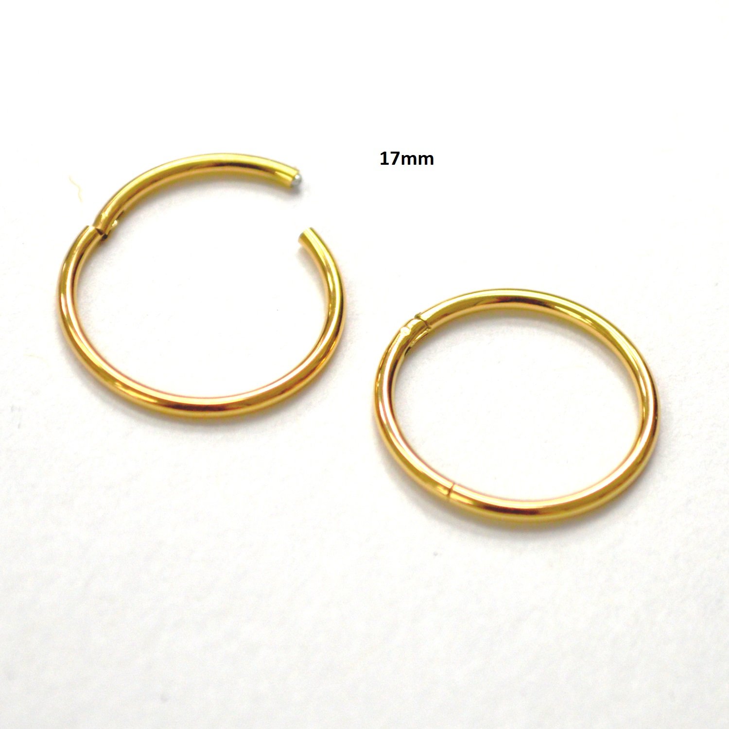 Hinged Gold Plated Hoops Earrings 83-820G-17