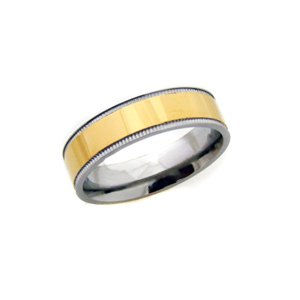 STAINLESS STEEL RING 81-411