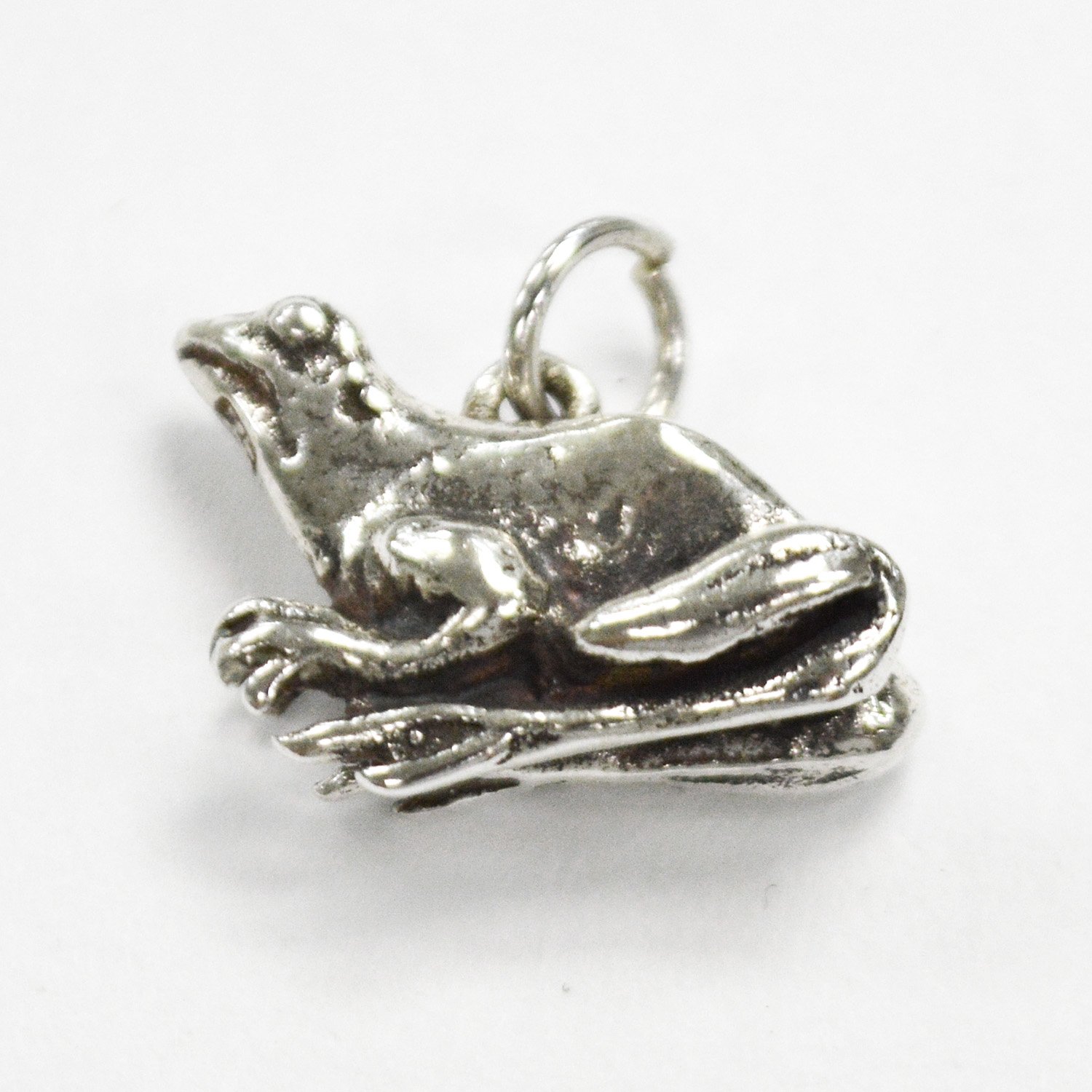 Frog Pendant Sterling Silver 561133